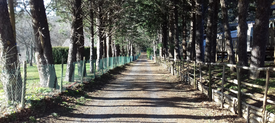 Chemin de Stevenson op de camping