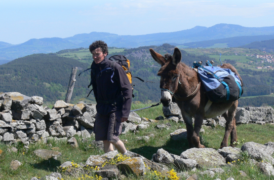Wanderer mit seinem Esel