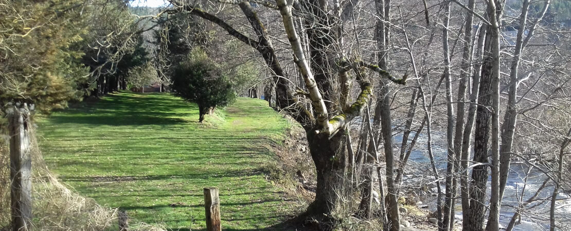 Naturnaher, ruhiger und familiärer Campingplatz am Ufer des Tarn