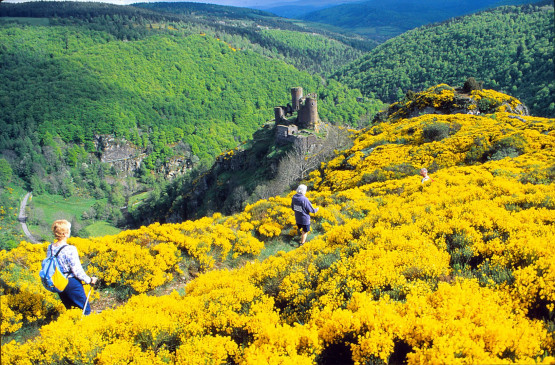 Wandelaars in Lozere