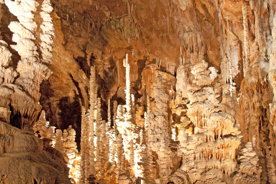 In einer Höhle